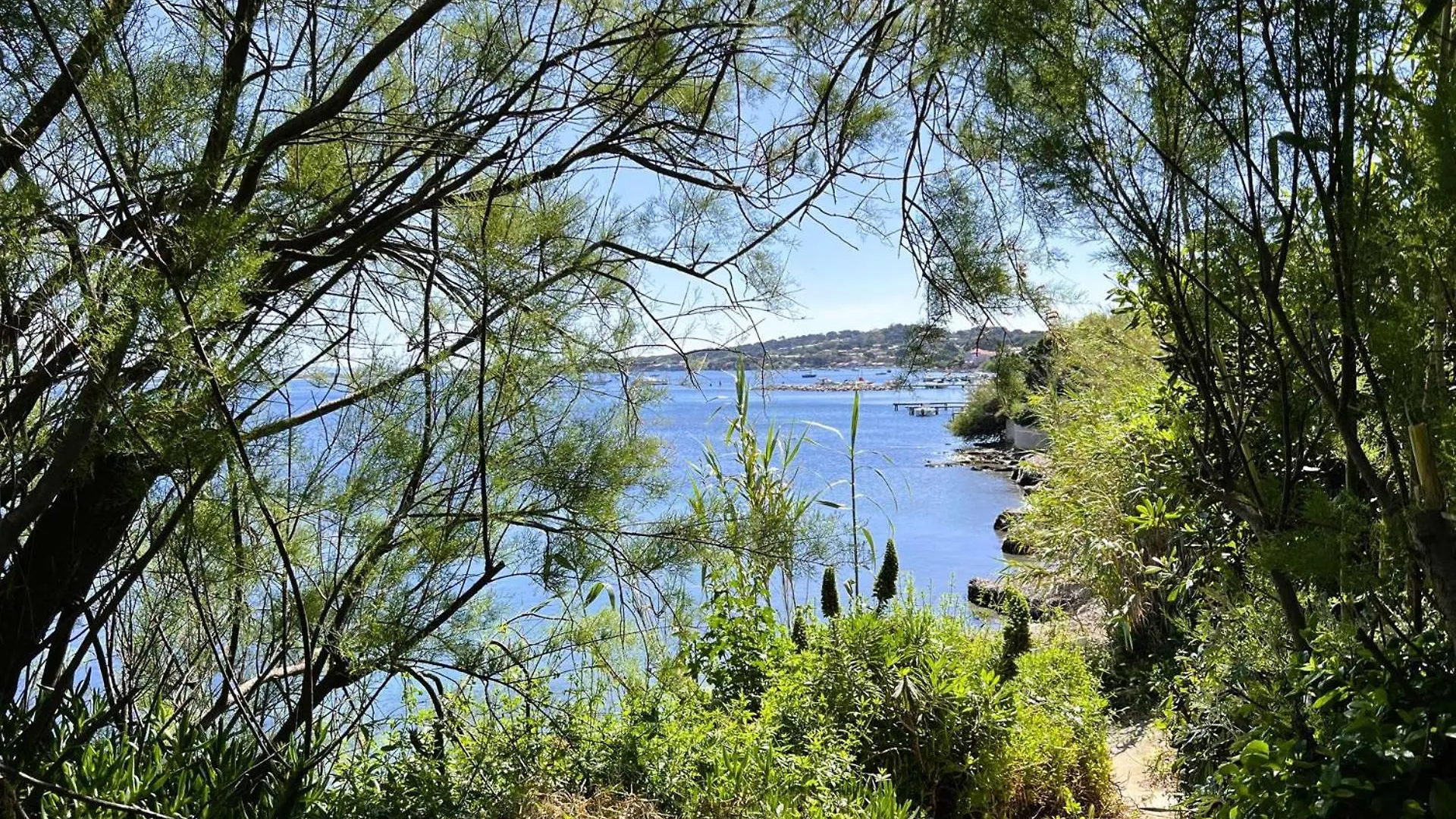 Le Cabanon Apartment Hyeres France